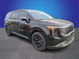 New 2025 Kia Carnival SX image 2