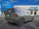 New 2026 Honda Passport TrailSport Elite image 3