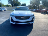 Used 2023 Cadillac CT5 Premium Luxury w/ Climate Package image 2