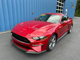 Used 2022 Ford Mustang GT Premium w/ Equipment Group 401A image 2