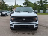 New 2025 Ford F150 XLT image 3