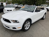 Used 2011 Ford Mustang Convertible w/ 101A Rapid Spec Order Code image 3