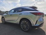 New 2025 Lexus RX 450h AWD w/ Luxury Package image 5