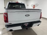 New 2025 Ford F150 XLT w/ Equipment Group 302A MID image 5
