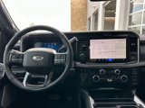 New 2025 Ford F250 Platinum image 5