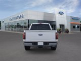 New 2025 Ford F150 XLT w/ Equipment Group 302A MID image 5