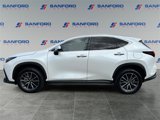 Used 2024 Lexus NX 350 AWD image 2