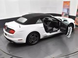 Used 2023 Ford Mustang Premium image 6