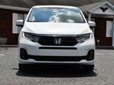 New 2026 Honda Odyssey Elite image 2