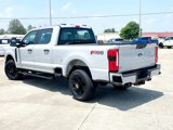 New 2025 Ford F250 XL image 6