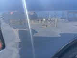 New 2024 Ford Ranger XLT w/ Equipment Group 301A High image 6