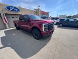 New 2025 Ford F250 Platinum image 3