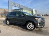 Used 2024 Ford Edge SEL image 1