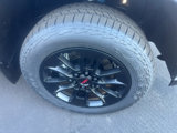 New 2025 Toyota Tundra Limited image 4