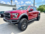 Used 2019 Ford F150 Raptor w/ Equipment Group 802A Luxury image 3