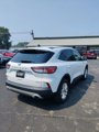 Used 2022 Ford Escape SE image 5