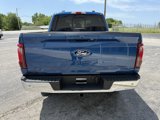 New 2025 Ford F150 XLT w/ Equipment Group 302A MID image 6
