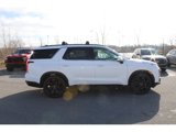 New 2025 Hyundai Palisade XRT image 5