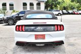 Used 2019 Ford Mustang GT Premium w/ Equipment Group 401A image 4