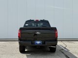 New 2025 Ford F150 XLT image 4