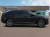 New 2025 Hyundai Tucson Limited image 5
