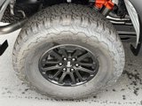New 2025 Ford F150 Raptor image 4