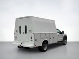 New 2025 Ford F550 4x4 Regular Cab Super Duty w/ XL Chrome Package image 3