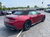 New 2025 Ford Mustang GT Premium image 5