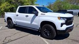 Used 2023 Chevrolet Silverado 1500 LT Trail Boss w/ Protection Package image 2