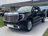 New 2025 GMC Sierra 1500 Denali w/ Denali Reserve Package image 3