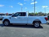 Used 2024 Ford F150 XLT image 4