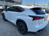 Used 2019 Lexus NX 300h AWD image 5