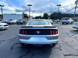 Used 2015 Ford Mustang Coupe image 4