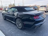 Used 2024 Ford Mustang GT Premium image 5