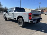 New 2025 Ford F250 Platinum image 6