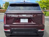 New 2025 Cadillac Escalade IQ Luxury 2 image 6
