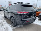 New 2025 Nissan Pathfinder Rock Creek image 3
