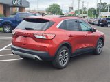 Used 2020 Ford Escape SEL image 5