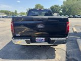 New 2025 Ford F150 XL w/ Equipment Group 103A High image 4