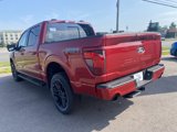 New 2025 Ford F150 XLT image 3
