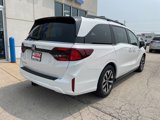 New 2025 Honda Odyssey EX-L image 5