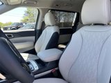 New 2025 Kia Carnival EX image 6