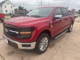 New 2025 Ford F150 XLT w/ Equipment Group 303A High image 2