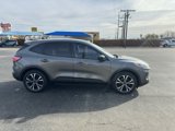 Used 2022 Ford Escape SE w/ SE Sport Appearance Package image 3