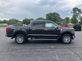 New 2024 Ford F150 XLT w/ Equipment Group 303A High image 6