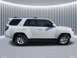 Used 2024 Toyota 4Runner SR5 Premium image 4