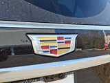 New 2025 Cadillac Escalade Premium Luxury image 6
