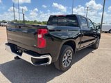 New 2026 Chevrolet Silverado 1500 LT w/ Protection Package image 2