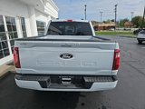 New 2025 Ford F150 XLT w/ Equipment Group 302A MID image 5