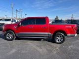 Used 2022 Ford F150 XLT w/ Equipment Group 302A High image 4